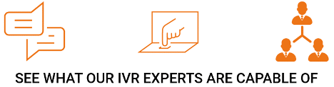 See what our IVR experts are capable of