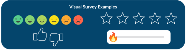 Visual survey examples Examples of visual surveys.