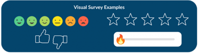 visual-survey-examples-min